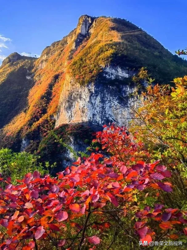 徒步三峡：霜叶漫山处，一步一千年