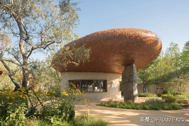 万社设计打造麓客岛动物农场，以设计与自然共谱城市田园牧歌