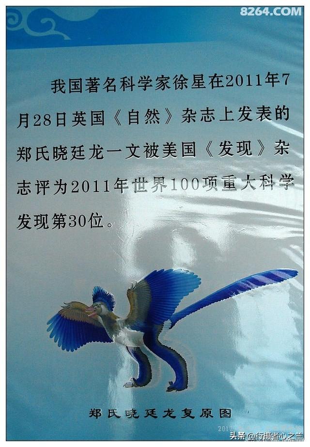 山东行游影记（35）—平邑天宇自然博物馆（十）