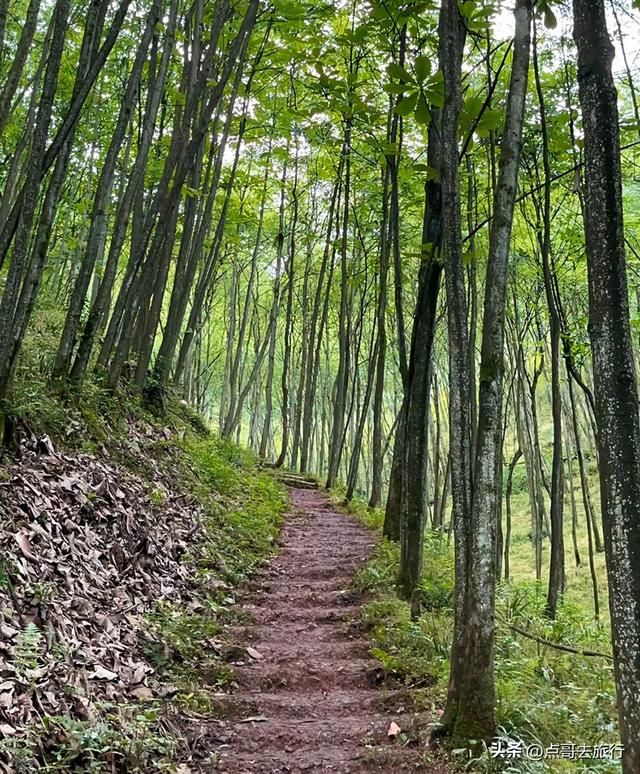 成都都江堰钻石徒步线路，都不要门票，360度观景台，让人惊叹！