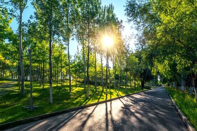 晚年最好的“活法”，不是打牌聚会跳舞，而是以下3种方式