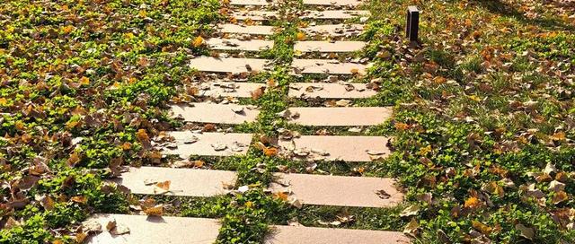 全部免费！兰州周末5个遛娃吸氧宝藏地！还能邂逅候鸟！