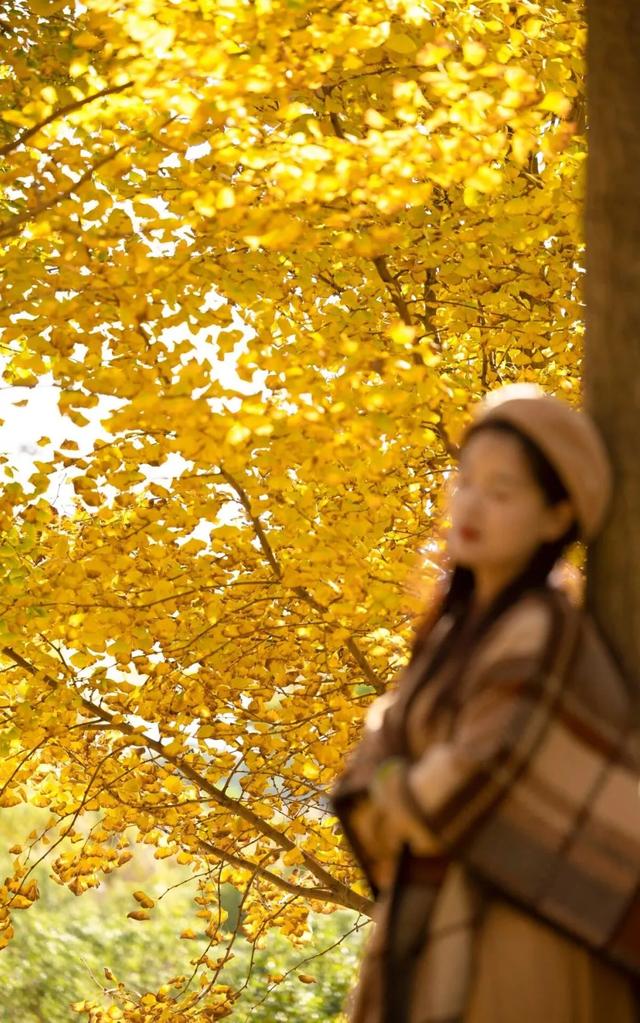 这样的张家港，我“All in”了！