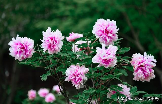 贵在用心，贵在认真，贵在坚持，贵在专注不旁骛