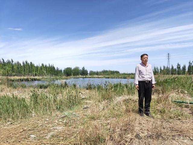 在水一方！宁晋贾家口的现代水泊