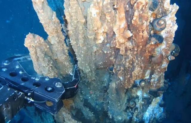 全面反华开始？特朗普已下令，数十国一起行动	，高市帮手全部就位