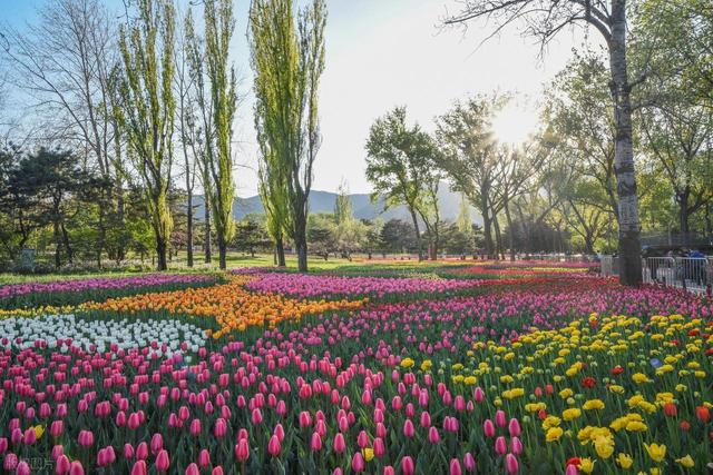 60岁之后一定要去一次！北京对老人免票的20+景点，不花钱还好玩