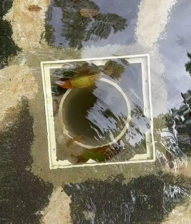 悲剧再现！6岁女童被牢牢吸住不幸身亡，妈妈就在旁边拼尽全力却救不回，绝望的14分钟……