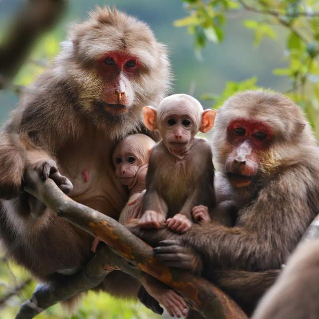 快来抱抱~ | Welcome to 疯狂·武夷山·动物城