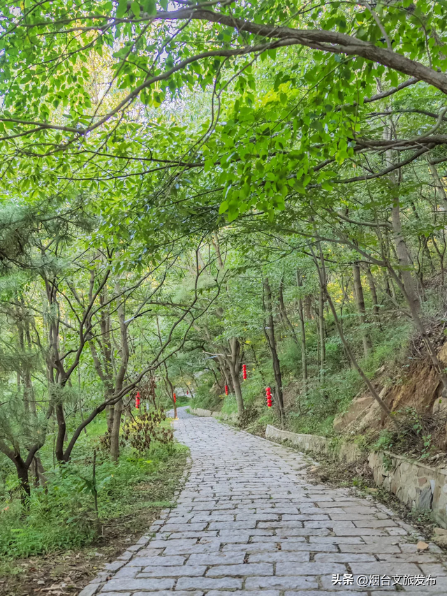 【乐游烟台】烟台竟有这么美的观景台！免门票