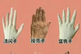 你真的了解你的手吗？快点进来看看你是哪种手图片