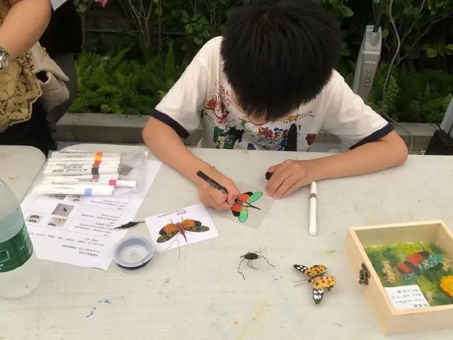 金秋十月│节庆、音乐、烟花 澳门应有尽有