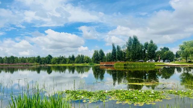 北疆文化 遇鉴赛罕 | 八拜湖实现华丽变身,成为热门“网红打卡地”!