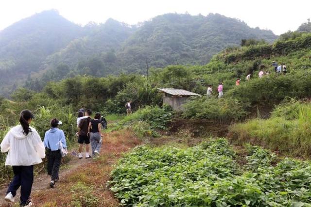 “山村收菜计划”再升级！杭城一批亲子家庭上周末驱车200公里赶到这个海拔600多米的小山村……
