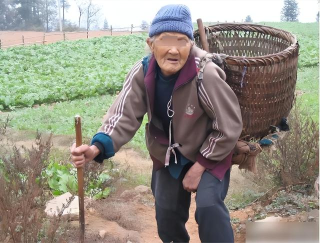 无儿无女=老无所依？46岁蒋女士的悲剧，揭开了3亿单身的冰冷真相