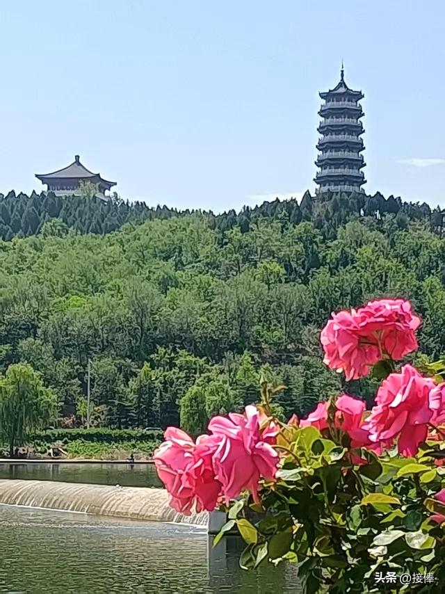 张传禄:话说临朐之最