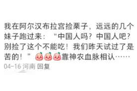留子在外怎么辨识中国同胞的？网友：靠神农血脉相认！评论笑麻了图片