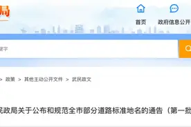 最新公布！武汉37条路有了新名字图片