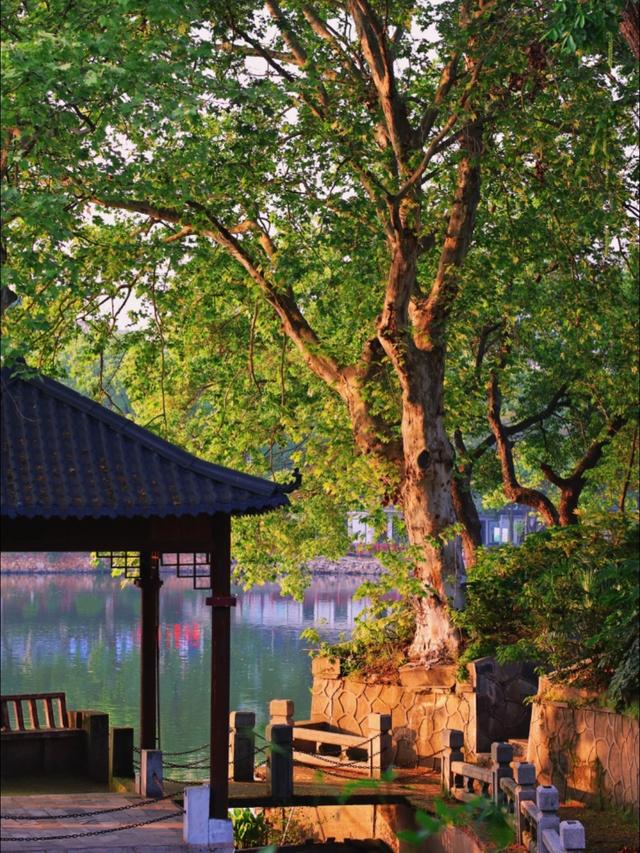 广州人去了趟长沙和湘潭，直言不讳：长沙和湘潭人气质截然不同！