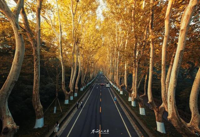 高铁1h！比西安秀美！这座千年古都秋色绝了！高光仅20天！