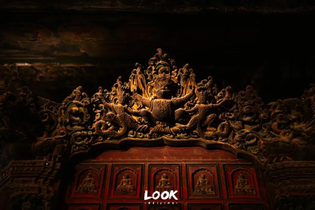 北京最新秋日打卡地 · 再看要等明年