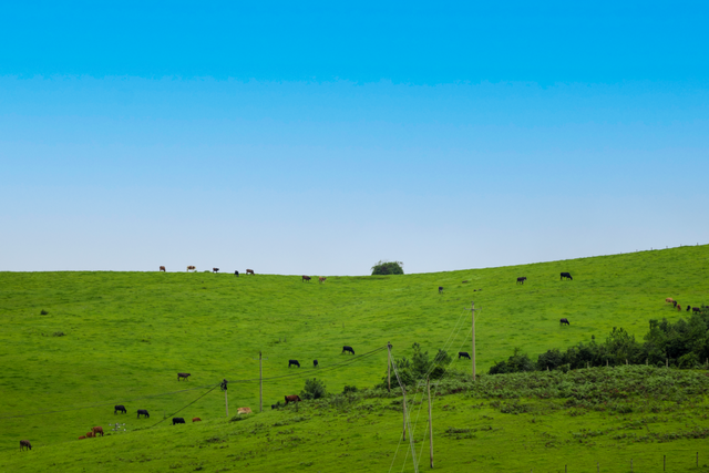 五一腾冲文旅活动汇总｜赴春日之约，享专属快乐