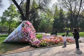 鼻涕眼泪流不停，春季过敏，别恨错了“花”!图片