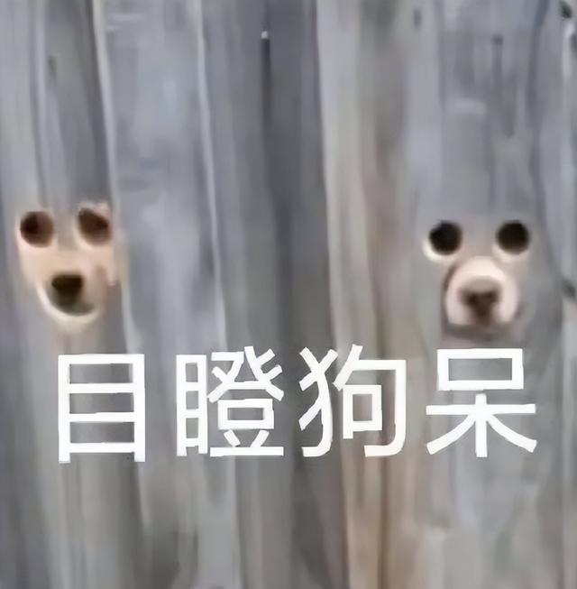 特斯拉廉价版贵到离谱