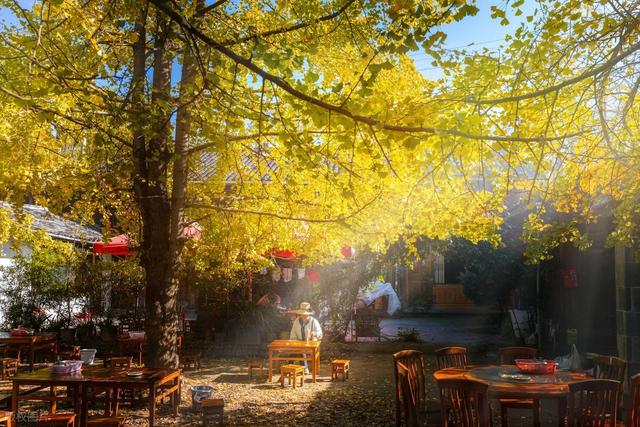 11月，去赏银杏吧！8个高颜值赏秋地，速来拍美照，挑一个就出发