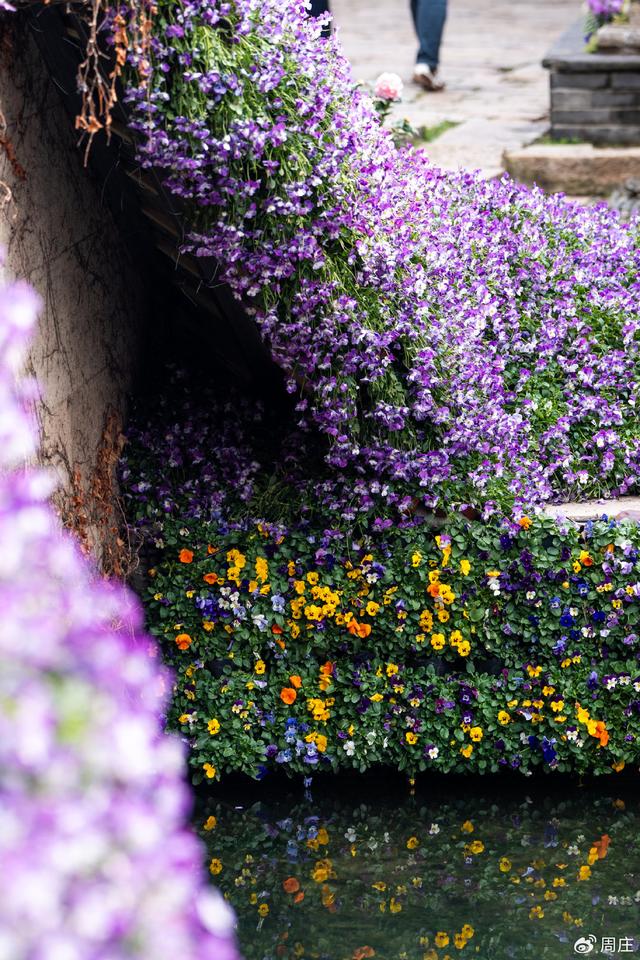 节后第三天，在周庄给自己“放风”。