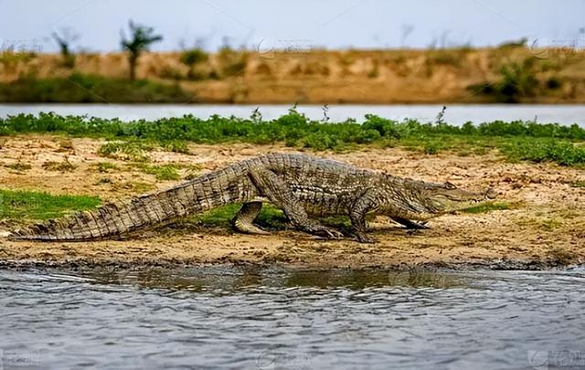 回国了我才敢说：委内瑞拉，是我去过的所有国家中，最被看轻的！