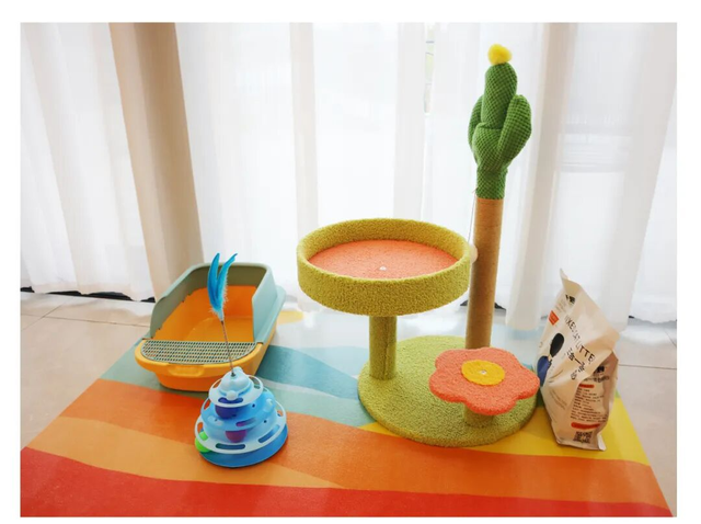 在韶关，带毛孩子去哪“浪”？这份宠物友好地图请收藏，撒欢不踩雷~