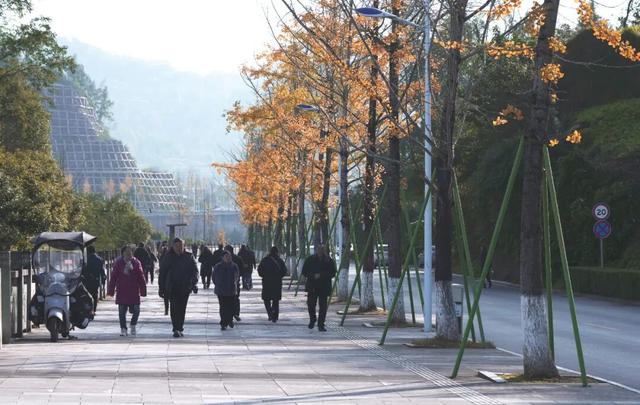 来达州宣汉，赴一场“黄金”盛宴