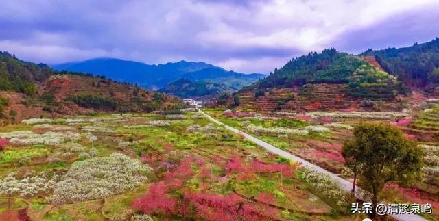 寻梦九峰菩提院