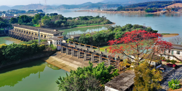 相约顺德 艺路同行 本周六邀您在龙江左滩共赴文旅盛宴