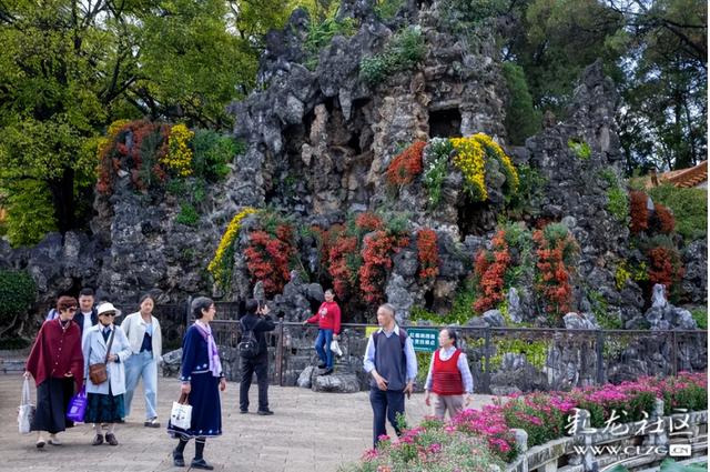 大观公园金秋菊花展掠影（B）