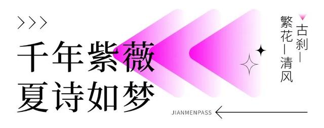 一秒入画！千年紫薇花，打卡夏日限定的剑门关浪漫