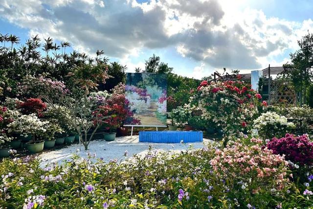 深度赏析海南三角梅赏花周6个最美花园 | 动态