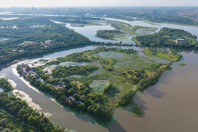 新华全媒＋丨“打卡”哈尔滨太阳岛：湿地漫游观城市生态画卷