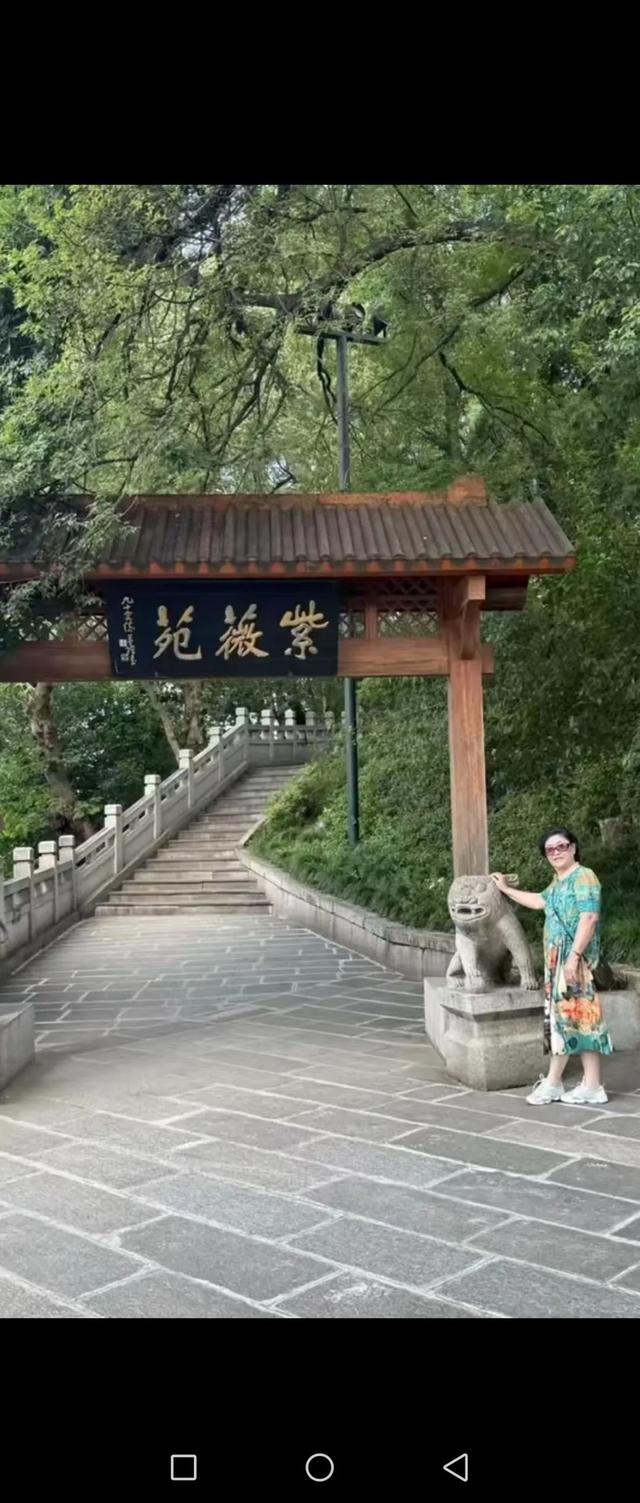 湖北行之四：游黄鹤楼 | 作者 卢秀莲