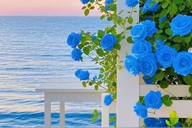 无法重来的人生里，请一定要让自己快乐，哪怕自己哄自己也行图片