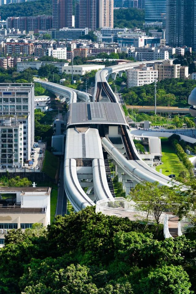 光明这个公园，原来这么好逛！