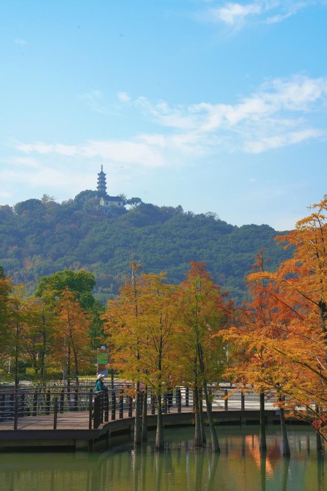从百年古刹到水上森林：解锁上方山秋冬宝藏打卡地