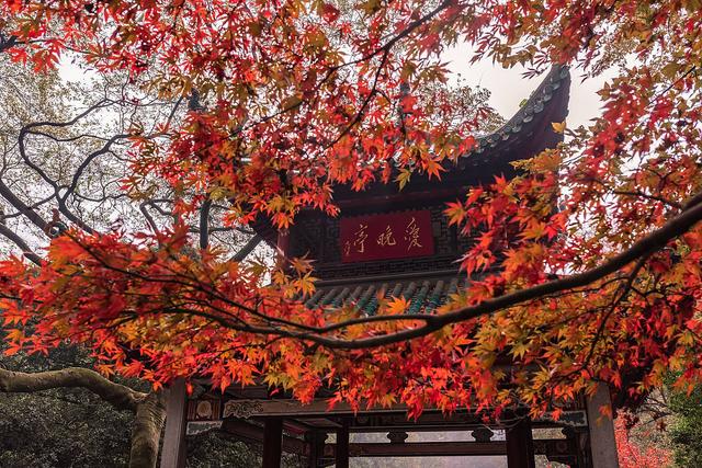 长沙旅游攻略——吃喝玩乐，看这一篇就够了