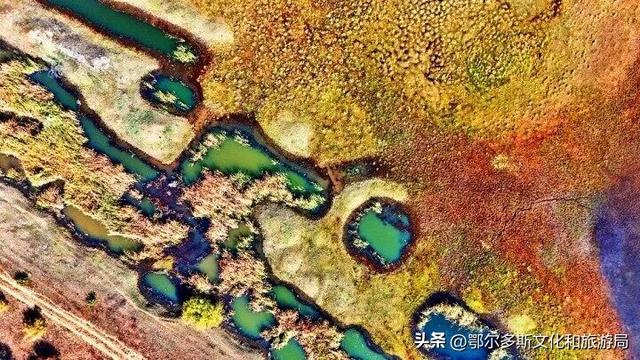 内蒙古杭锦旗：湿地秋景惹人醉