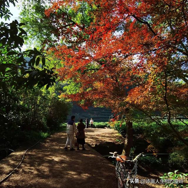 旅行就像是在开“盲盒”，随时有惊喜，你觉得呢？