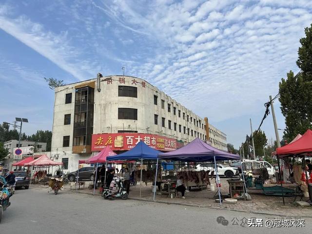 冠县乡韵·烟庄大集