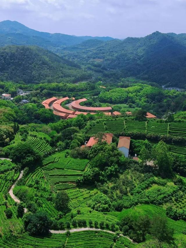 别再去人挤人！这座宝藏小城，一半是山水，一半是客家味