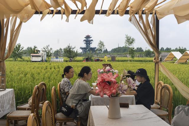 辽宁沈阳：一处画在田间人在画中的景区吸引来自四面八方的游人