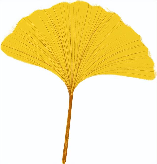 莱州的秋天就要这么玩！这个周末，来小草沟chill一下吧~